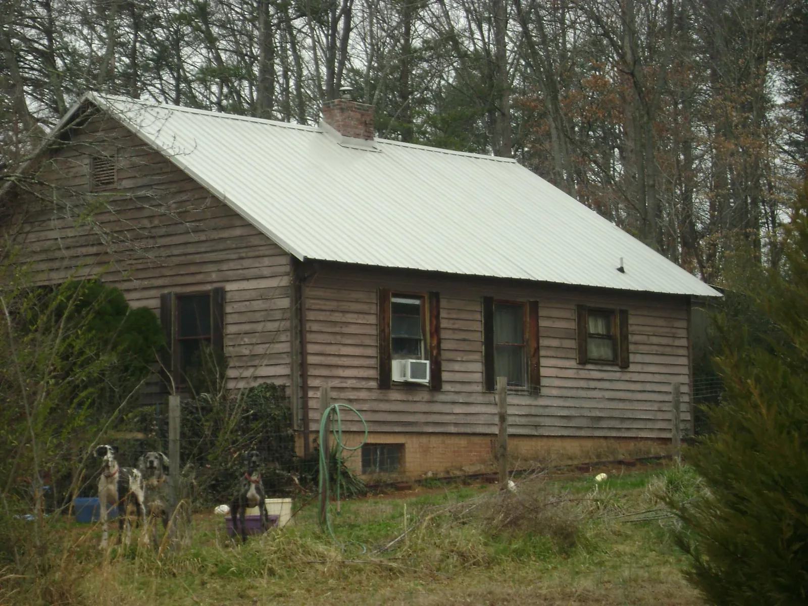White metal roof on an old wood sided farmhouse, from a Asphalt Shingle Roof Repair job in Foxboro
